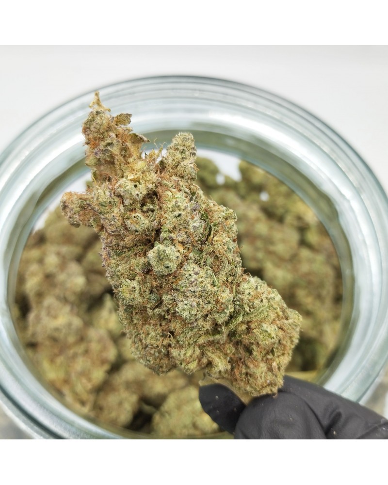 Honest Kush®