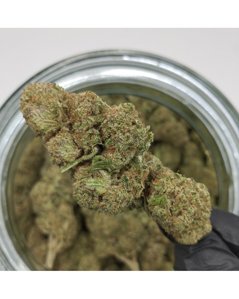 Lemon Haze®