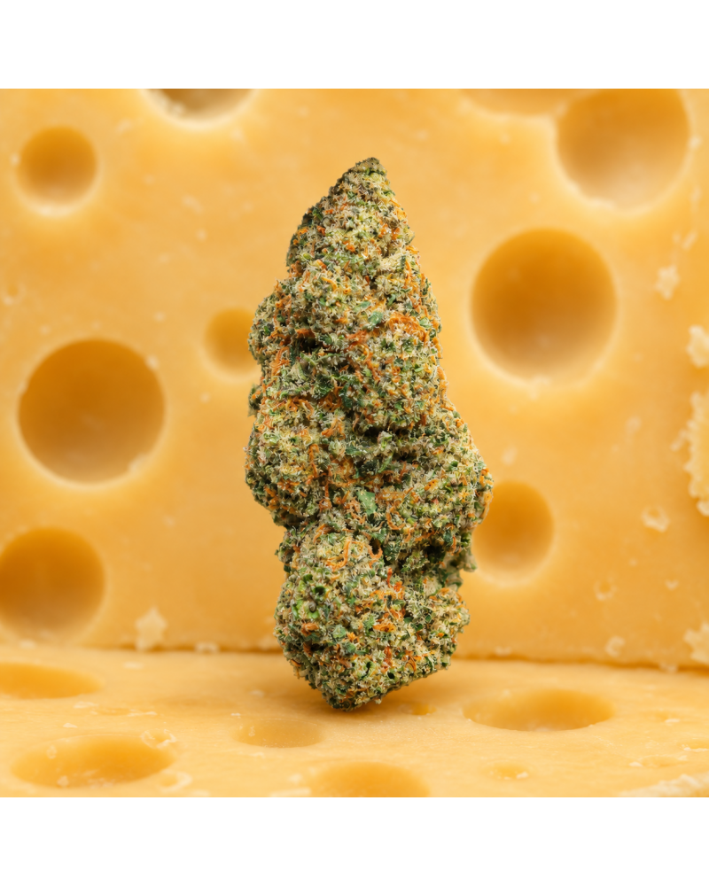 BUBBLE CHEESE®