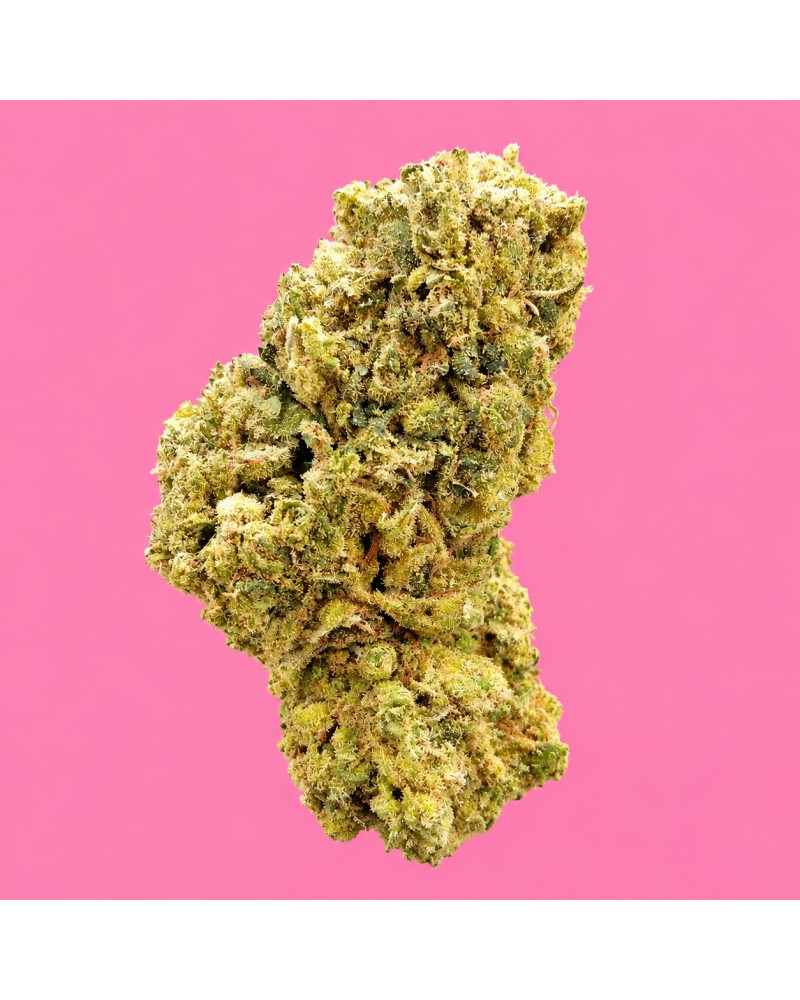 Bubble Gum®